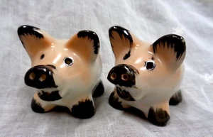 Vtg Occupied Japan Ceramic Miniature PIG Salt & Pepper Shaker Set 2" x 1-3/4" H - Picture 1 of 6