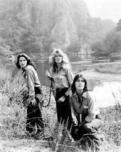 Charlie's Angels 1976 Angels in Chains Jaclyn Farrah & Kate chained 24x36 poster - Picture 1 of 1