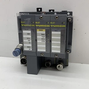 Turck Modular DeviceNet Assembly with BL67-GW-DN, BL67-1RS232, BL67-2AI-I - Picture 1 of 11