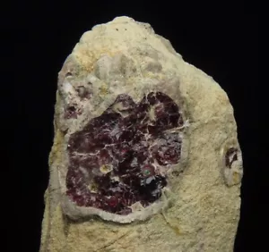 PYROPE in SERPENTINITE -- intensive colour !!! ----- AUSTRIA Wanzenau /pl224 - Picture 1 of 13