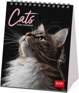 - Calendario Da Tavolo 2026, Cats, Calendario Da Scrivania, 12 Mesi E Planner An - Foto 1 di 12