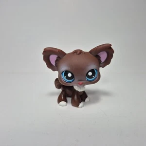 LPS Littlest Pet Shop CHIHUAHUA 219 Brown Figure Toy Authentic - Imagen 1 de 5