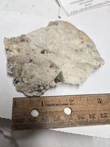 Schönes Helviten Exemplar - Bild 1 von 3