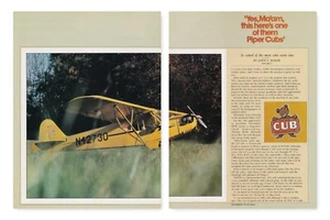 Piper Cub Aircraft Report 4/20/2024l - Picture 1 of 1