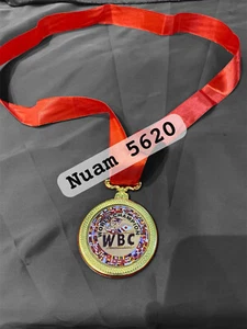 WBC Medal Award Medal World Boxing ChampionShip Medal Replica - Picture 1 of 2