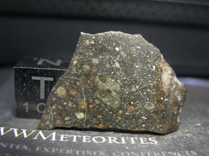 Meteorite NWA 13177 - L3-6 xenolithic breccia (W1) - Xenoliths similar to CM2 - Picture 1 of 4