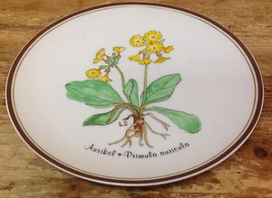Rosenthal Plate Loving Plants Loki Schmidt Classic Rose FE #1 Primula Auricula - Picture 1 of 1
