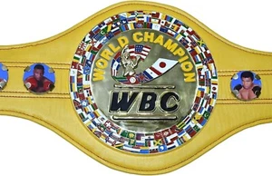 Neu WBC Boxing Championship Gürtel 3D Logo Replica Erwachsenengröße goldener Riemen - Bild 1 von 4