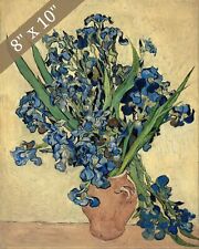 Vincent Van Gogh Irises Flower Painting Giclee Print 8x10 on Fine Art Paper