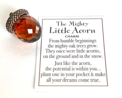 Ganz Mighty Little ACORN Token Faceted Glass w/Brass Top +Poem Card 1"