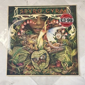 Spyro Gyra – Morning Dance Vinyl LP 1979 Jazz Funk EX - Picture 1 of 4