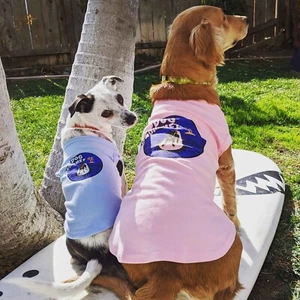 Menge 139 Hundeshirts, mittlere bis kleine Hunde, Strand & Surf Design Großhandel Wiederverkauf - Bild 1 von 15
