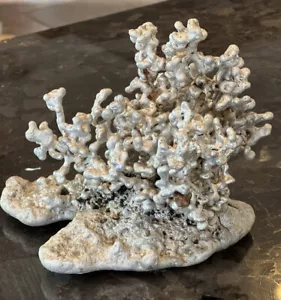 Anthill Art Anthill Aluminum Casting 2.9 lbs Texas Coral - Picture 1 of 8