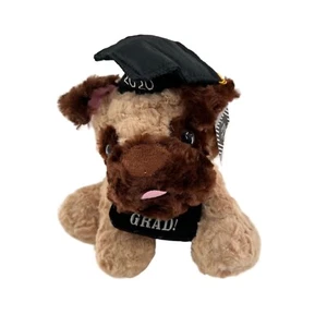 Homer best Graduation Plush Dog With Cap & Congrats Grad! Banner Amerheart 2020 - Picture 1 of 11