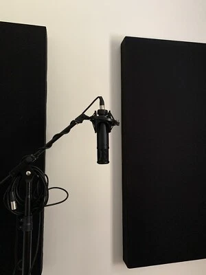 Micrófono condensador de estudio sE2200 - CAJA ABIERTA Foto 1 de 4