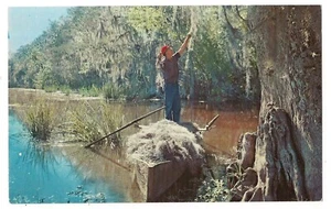 Cartolina Man Gathering Spanish Moss Cajun Boat Banks Bayou Louisiana LA - Foto 1 di 2