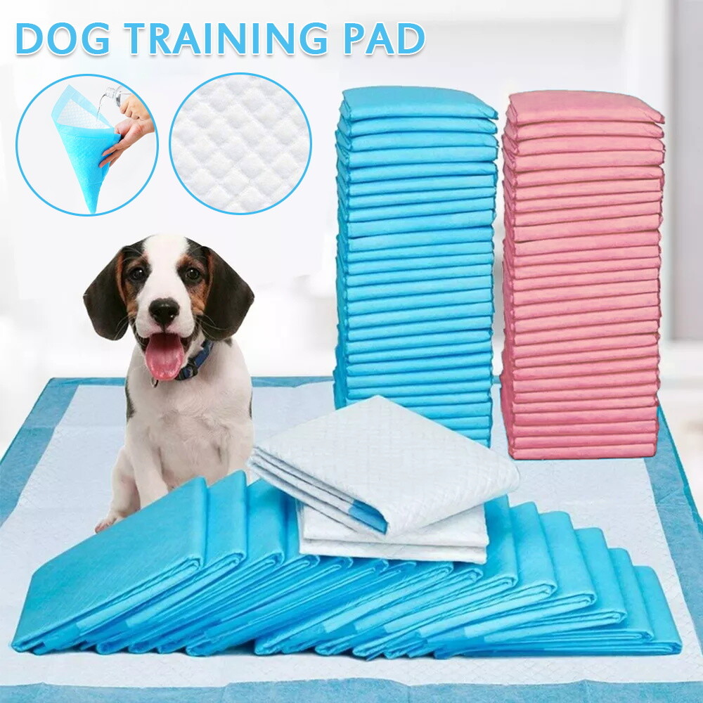 HappyPaw Hunde Trainingspads 60x60 Cm - 40 Stück Saugstarke Unterlagen Für Welpen