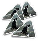 4X Triangle Stickers - Border Collie Sheep Dog #12385