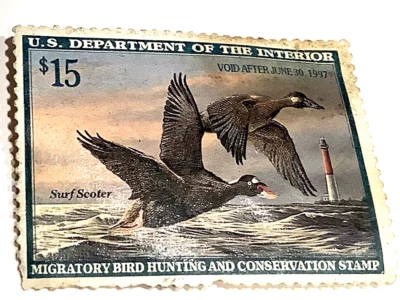 1996/97 Duck Stamp US Federal $15.00 SURF SCOTER unused free ship - Image 1 of 3