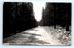 1940s RPPC Photo WY Postcard Highway Thru The Timber In The Snowy Range Wyoming - Picture 1 of 2