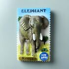 Słoń w Kenii Turystyczna pamiątka z podróży 3D Żywica Lodówka Magnes