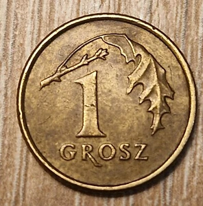 1 grosz 1991 MW POLSKA IIIRP PO DENOMINACJI - Zdjęcie 1 z 2