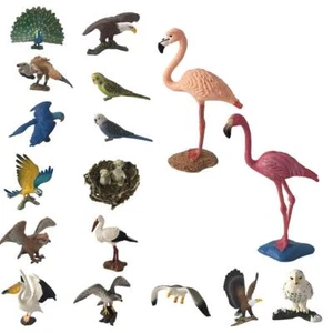 Different BIRD Toy Figurine Models, including Macaw, , Crane, Seagull, Parrot, - Picture 1 of 58