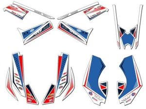 2008-2018 DS 70/90 SURGE White Senge Graphics Kit Compatible with Can-Am - Picture 1 of 7