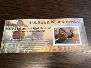 Scott RW87A $25.00 Black Bellied Whistling Duck Stamp MNH-2020-US - Picture 1 of 2