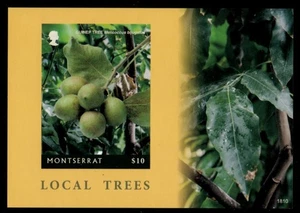 Montserrat 2018 - Local Trees - IMPERF Souvenir Stamp Sheet - Scott #1421 - MNH - Picture 1 of 1