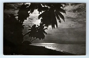 Vintage Postcard RPPC Sunrise Singapore Palm Trees Real Photo - Picture 1 of 2