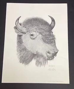 American Buffalo Signed Print By Gene Gray 1971 - Picture 1 of 5