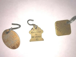 Dog tags, two registration, one vaccination - Picture 1 of 1