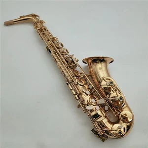 JAS-767GL Alto Eb Saxophone New Gold Lacquer E-Flat Sax with Case mouthpieces - Picture 1 of 8