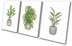 Exotic House Plant Botanical Floral TREBLE CANVAS WALL ART Picture Print - Picture 1 of 1