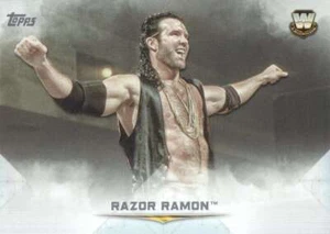 2020 Topps Undisputed #87 Razor Ramon Wrestling Card NM-MT Legends ID:43272 - Bild 1 von 2