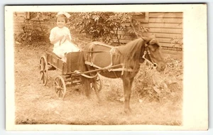 Postal RPPC niña en carro tirado por pequeño pony UNP - Imagen 1 de 2