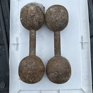 Vintage Antique Cast Iron Dumbbells Round Head Hand Weight 10 Lbs each Lot Of 2 - Picture 1 of 3