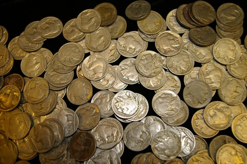 500 Buffalo Nickels - 500+, 1913-1938, P. D. & S., AG-AU " ONLY 4 OF THESE LEFT" Cover
