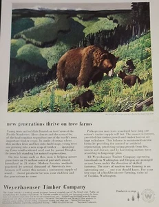 Arte de pared Weyerhaeuser revista de madera anuncio imagen anuncio árbol granja oso - Imagen 1 de 1