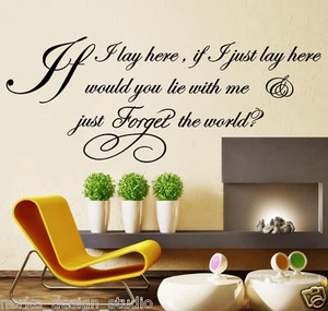 WALL CITAZIONI IF I LAY HERE SNOW PATROL adesivo lirico wall art n37 - Foto 1 di 10