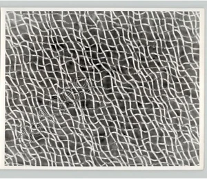 Woven Metal Wire Furniture Pattern By DON DOVER Art Design 1950s Press Photo - Picture 1 of 2