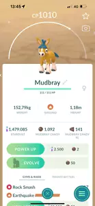 Pokémon Shiny Mudbray - Trade 1M Sternenstaub - Bild 1 von 1