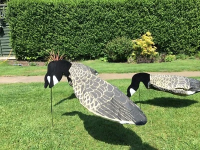 Gänseköder 12 Sillosock Canada Goose Feeder Pack 12 Futterhäuschen