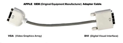 Apple OEM VGA to DVI Video Adapter Cable (Older Generation) - Image 1 of 4
