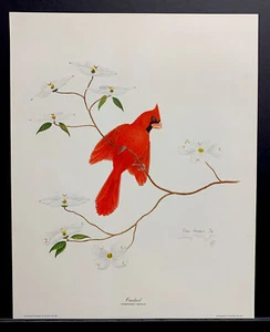 Ray Harm Jr. Limited Edition Hand Signed Print “Cardinal” Ray’s Son - Picture 1 of 1