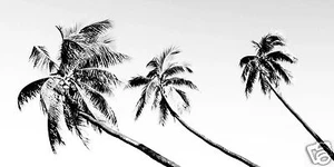 100cm Andy Baker Australia Tropical Palm Tree Island Art Painting Canvas print - Picture 1 of 4