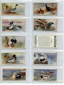Full Set, Players, Game Birds and Wild Fowl 1927 (Gc1266-100) VG - Picture 1 of 10