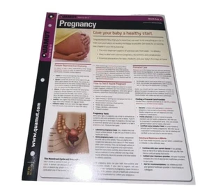 Quamut Pregnancy Reference Fold Out Guide Pamphlet Health Body - Bild 1 von 5