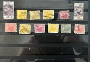 STAMPS - WESTERN AUSTRALIA SWANS - EX OLD TIME COLLECTION- MIX COND - AS SHOW - Picture 1 of 14